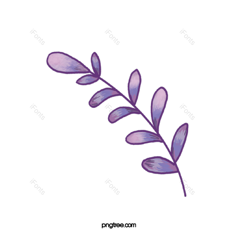 叶子图片,树叶元素,卡通树叶PNG,树叶边框免抠素材